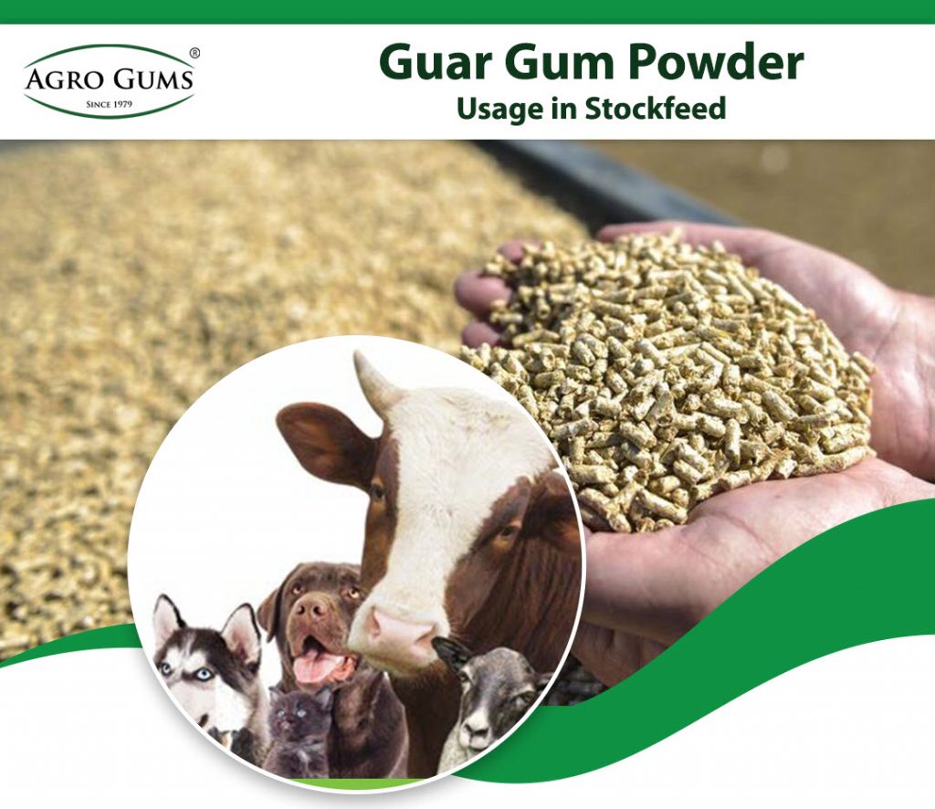 Guar Gum Powder Usage in Stockfeed