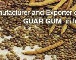 Guar Gum Manufacturers