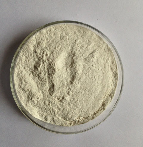 Guar Gum