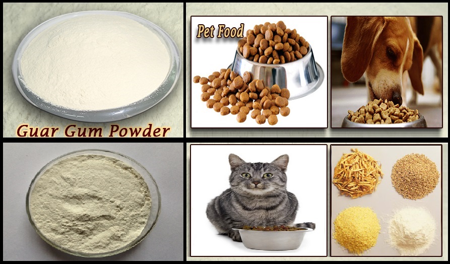 Benefits of Guar Gum in Animal Feed