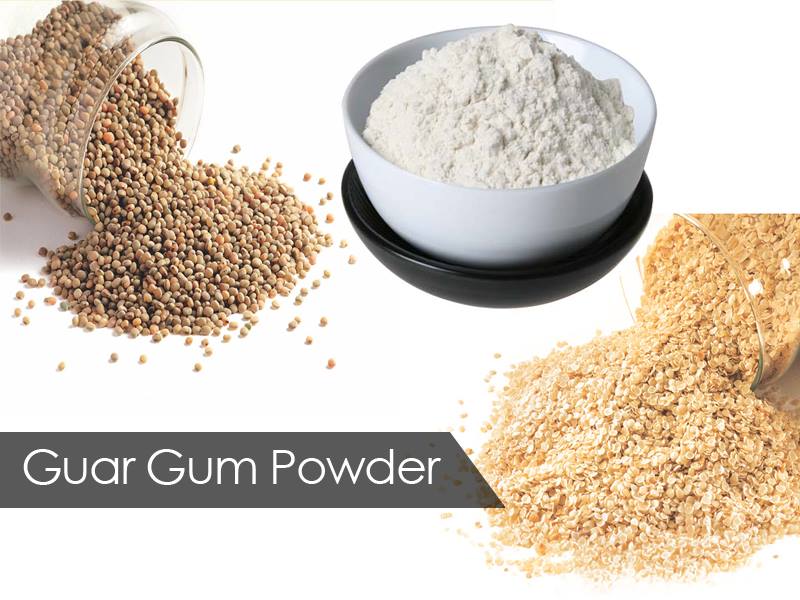 Guar Gum Powder: The Unsung Hero Driving Innovation across Industries in the USA