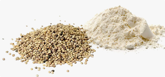 Why Guar Gum is Driving Innovation in the Food and Beverage Industry?