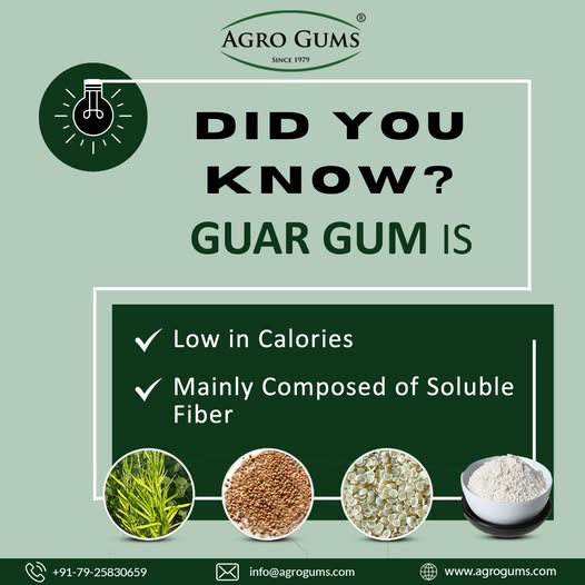 Regional Insights: The Growing Guar Gum Market in Europe and North America