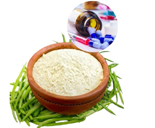 How Pharma-Grade Guar Gum Enhances Controlled Release Medications in Spain?