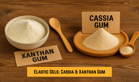 How Cassia Gum and Xanthan Gum Create Elastic and Rubber-like Gels?