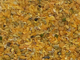 Why Guar Meal is Gaining Popularity in African Livestock Markets?