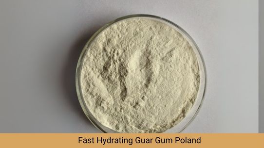 Growing Demand for Fast Hydration Guar Gum in Shale Gas Exploration in Poland