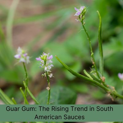 Why Guar Gum is Gaining Popularity in Sauces across South America