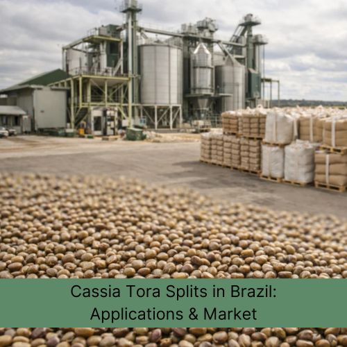 Cassia Tora Seed Splits (Cassia obtusifolia): Applications, Performance & Market Relevance in Brazil