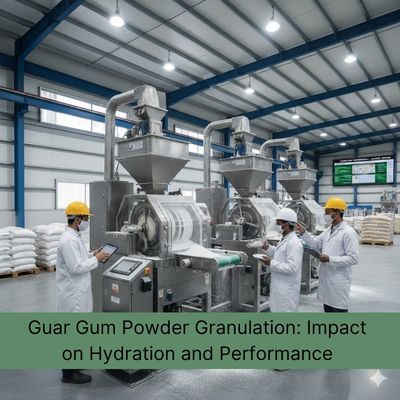Guar Gum Powder Granulation: How It Influences Hydration, Speed and Uniformity