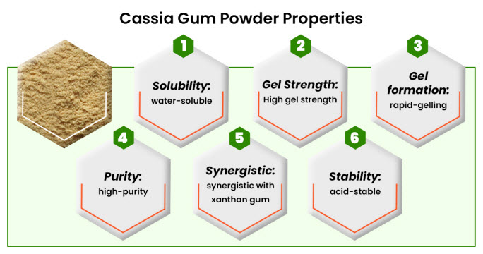 Cassia Gum Powder Properties