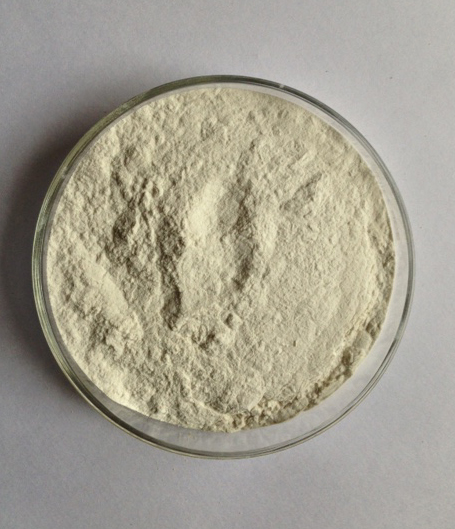 Guar Gum Powder