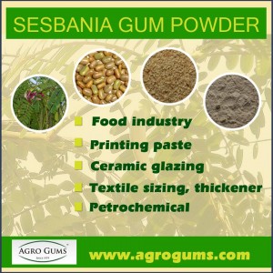 Sesbania Gum Powder