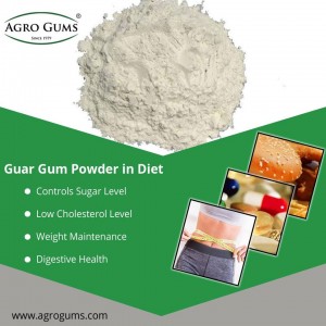 Guar Gum on Blood Glucose