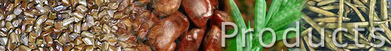 guar gum powder