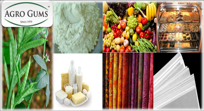Guar gum Powder