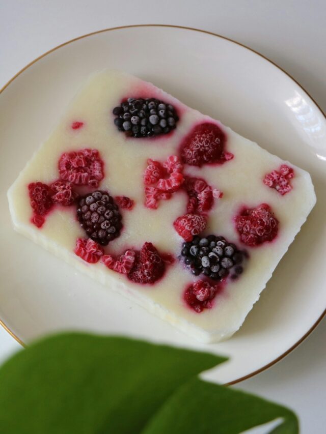 Frozen Dairy Product