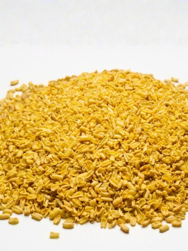 Cassia Tora Split